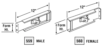 Male and female transition forms - illustration 2